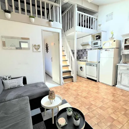 Maison Renovee Avec Jardin Spacieux, Plancha Et Piscine - Climatisee, 2 Pieces + Mezzanine, 5 Couchages - Fr-1-229-864
